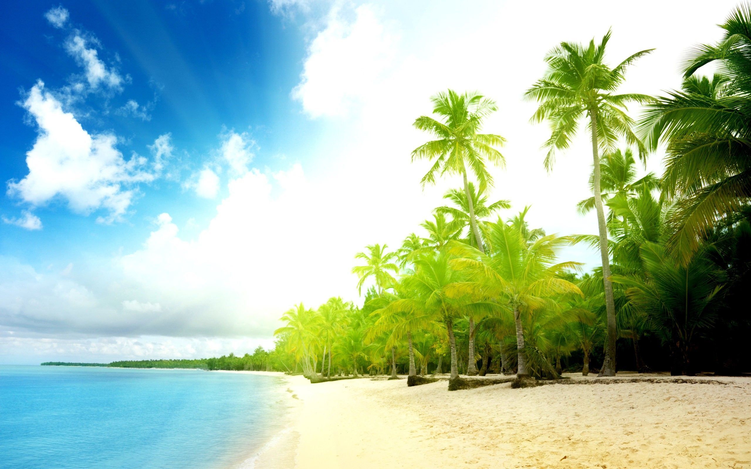 Goa Wallpapers - 4k, HD Goa Backgrounds on WallpaperBat