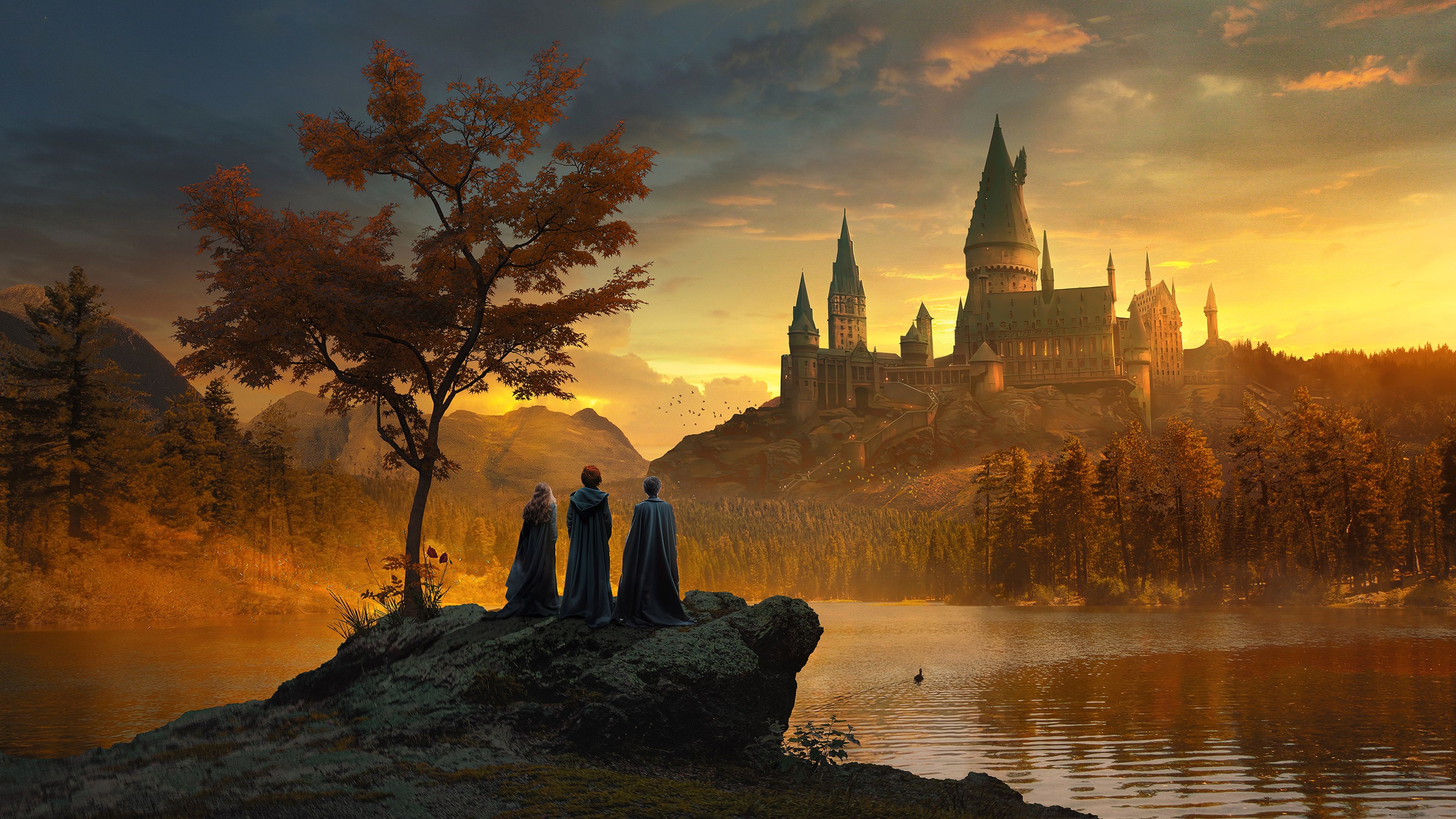 Harry Potter 8K Wallpapers - 4k, HD Harry Potter 8K Backgrounds on