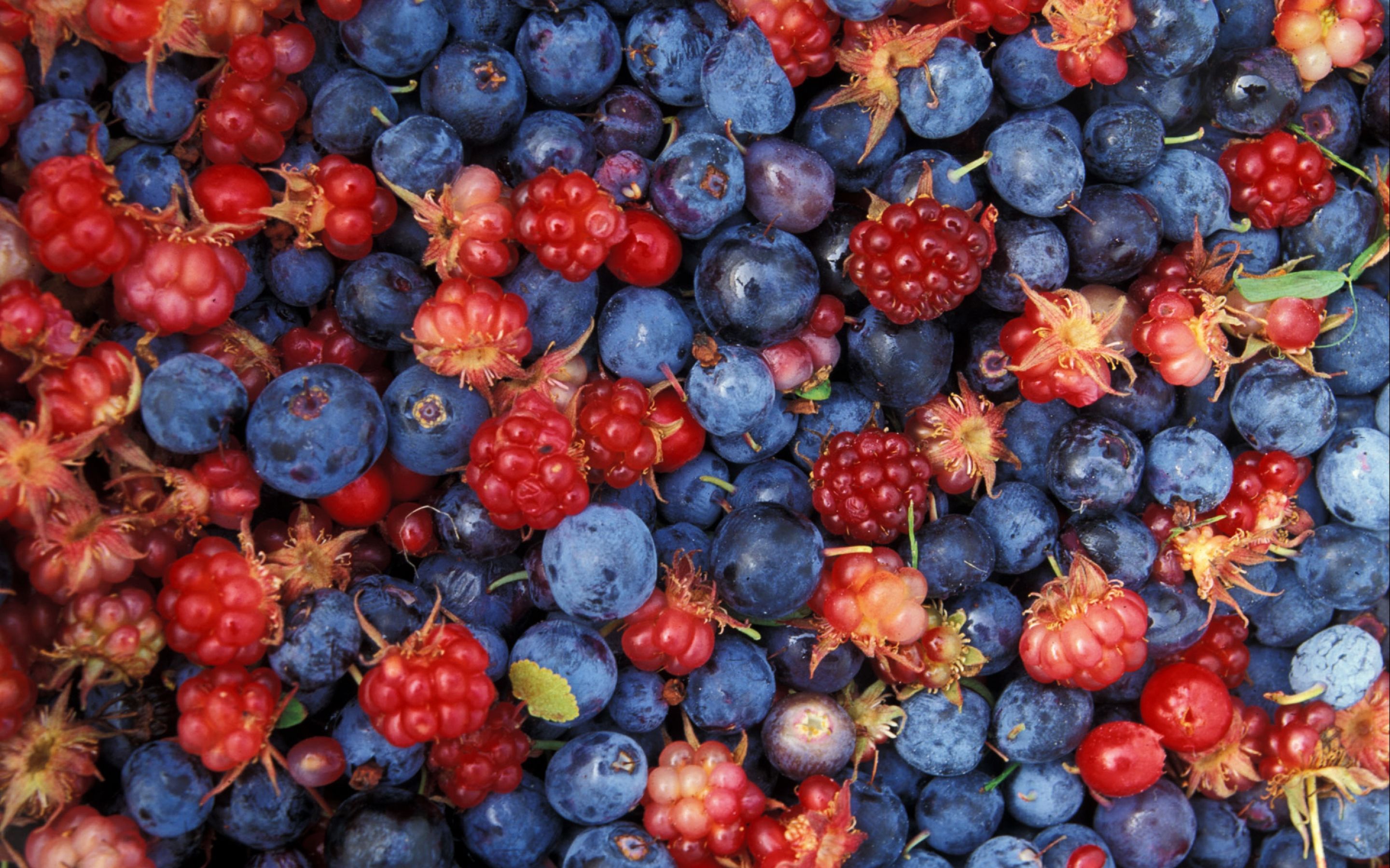 Wild berries