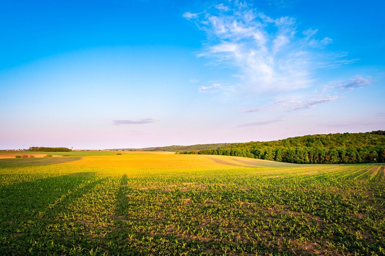 Agriculture Wallpapers - 4k, HD Agriculture Backgrounds on WallpaperBat