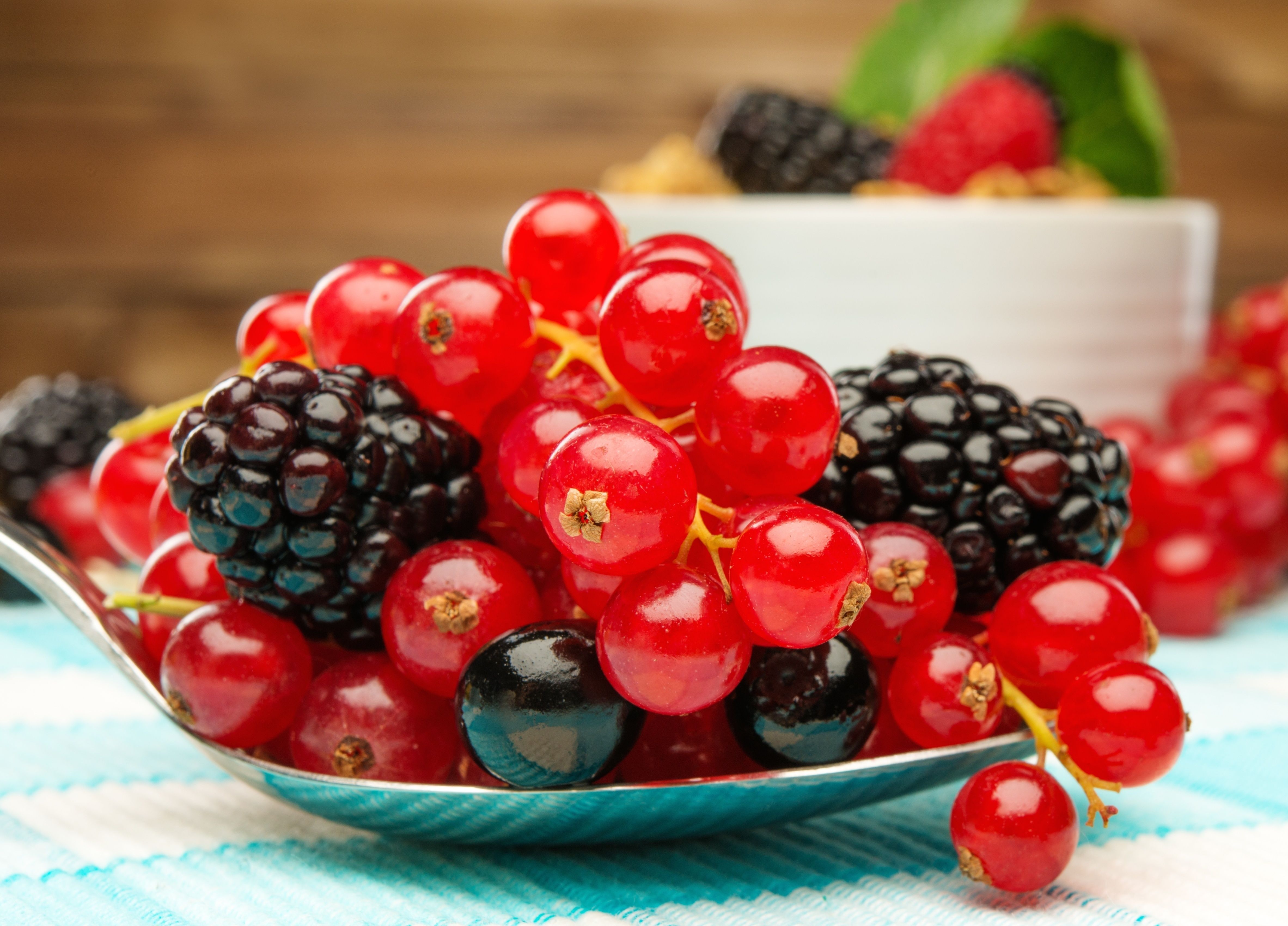 Wild Berry Wallpapers - 4k, HD Wild Berry Backgrounds on WallpaperBat