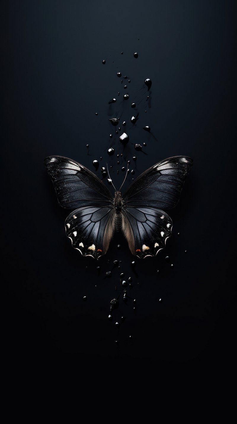 Black Butterfly Wallpapers - 4k, HD Black Butterfly Backgrounds on ...