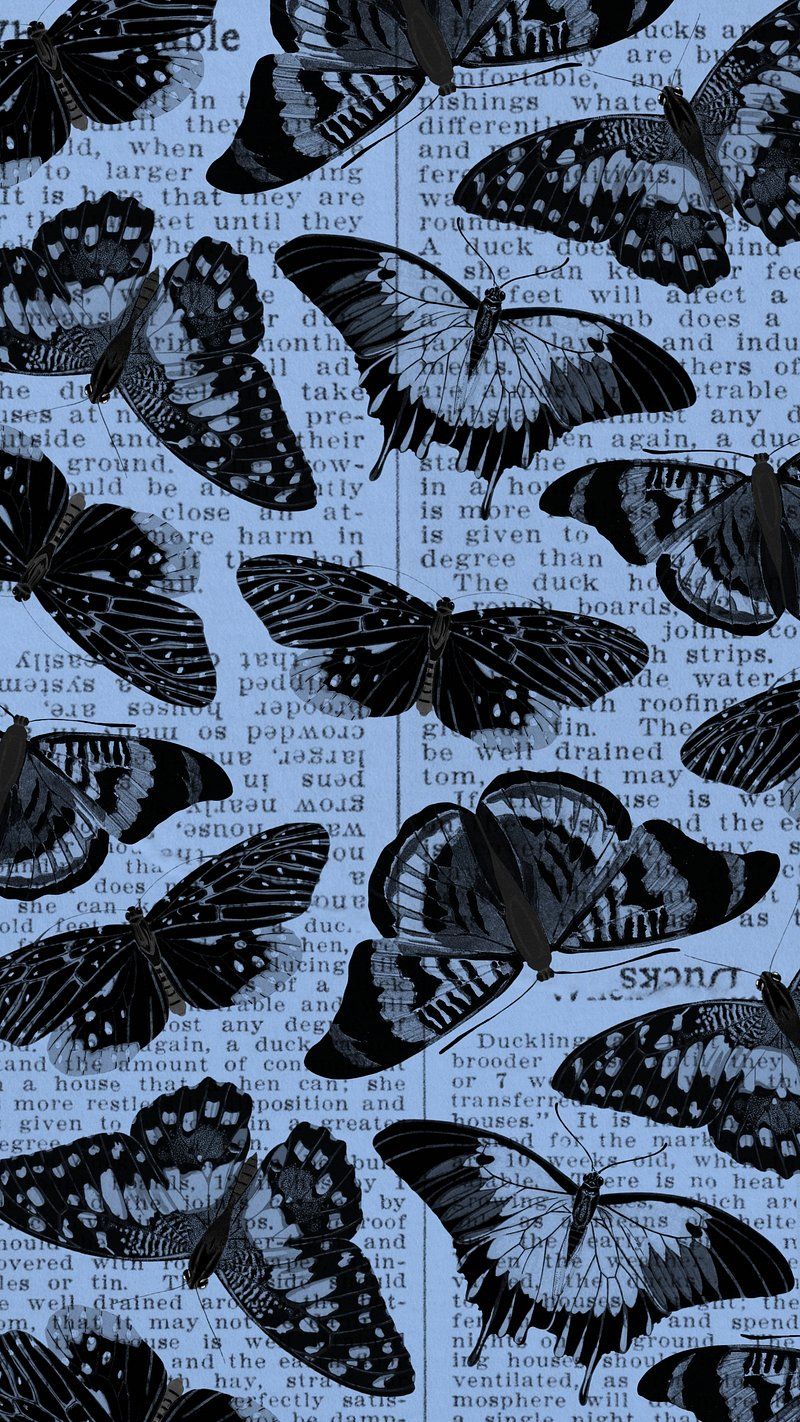 Black Butterfly Wallpapers - 4k, HD Black Butterfly Backgrounds on ...