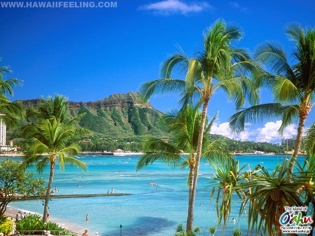 1024x768 Best 37+ Oahu Wallpaper on HipWallpaper | Oahu Wallpaper, Oahu ... Wallpaper