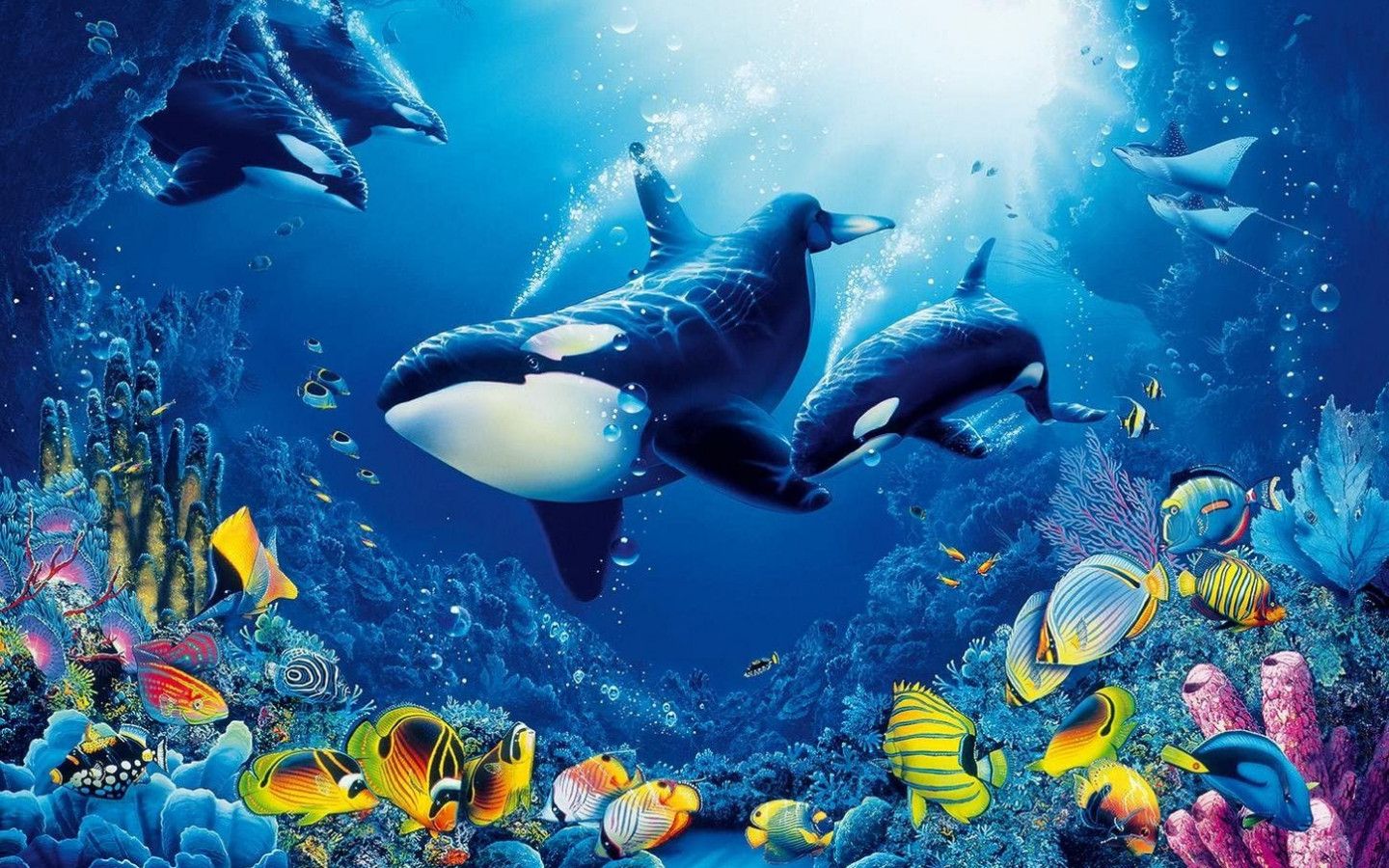 Sea Life Wallpapers - 4k, HD Sea Life Backgrounds on WallpaperBat