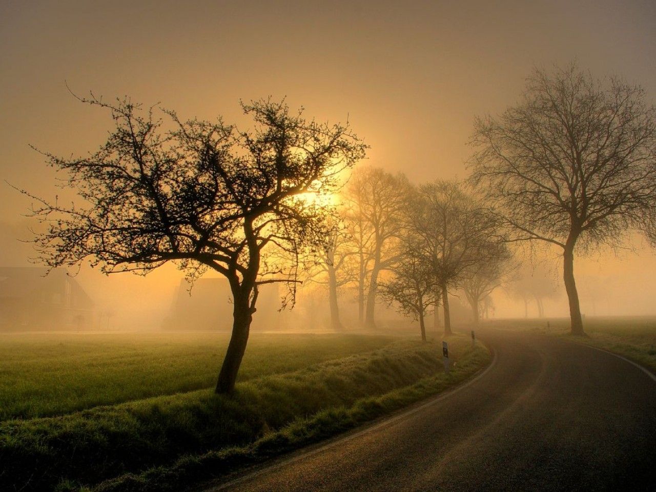 Sunrise Road Wallpapers - 4k, HD Sunrise Road Backgrounds on WallpaperBat