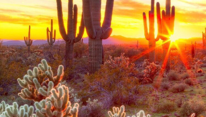 Arizona Sunset iPhone Wallpaper