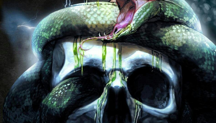 Skull and Snake Wallpaper