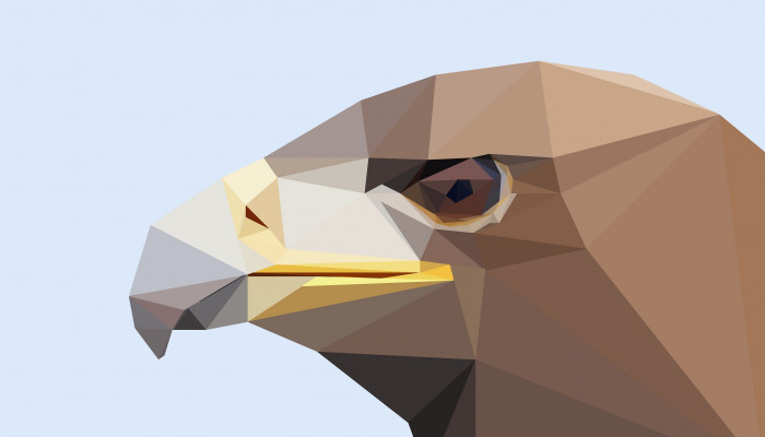 Eagle Minimalist Wallpaper