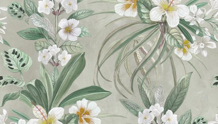 Botanical Art Wallpaper