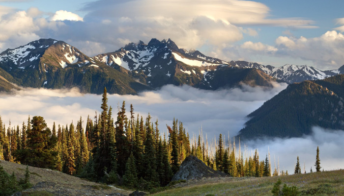 Olympic Mountains Wallpaper