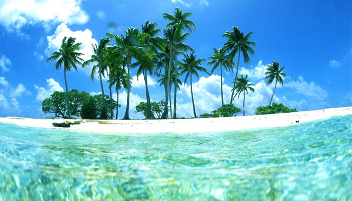 Tropical Ocean Wallpaper