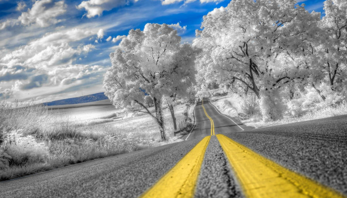 Road and Nature Wallpaper