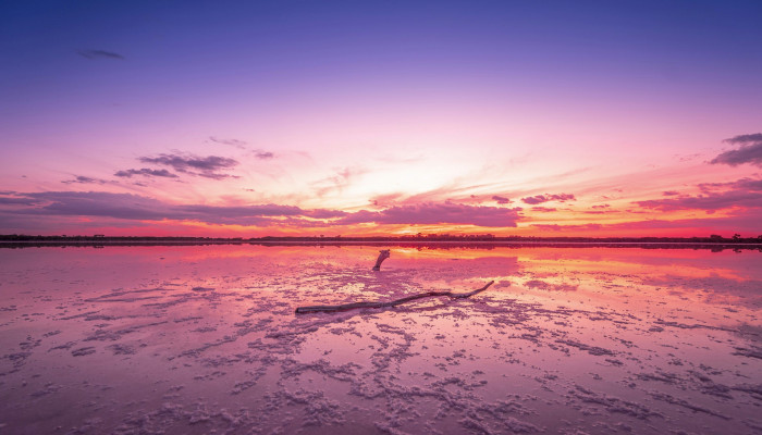 Pink Landscape Wallpaper