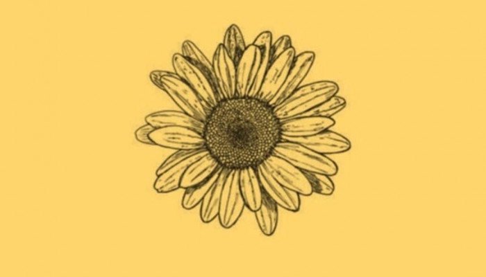 Minimalist Sunflower Wallpaper