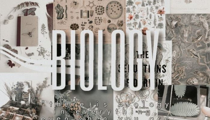 Biology Aesthetic Wallpaper