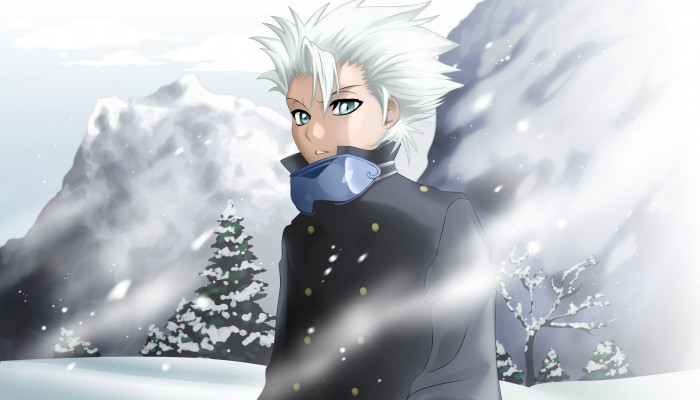 Toshiro Hitsugaya Wallpaper