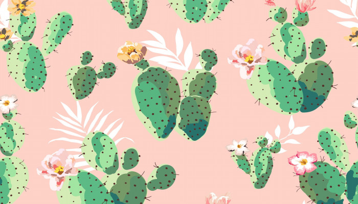 Cactus Pink Wallpaper