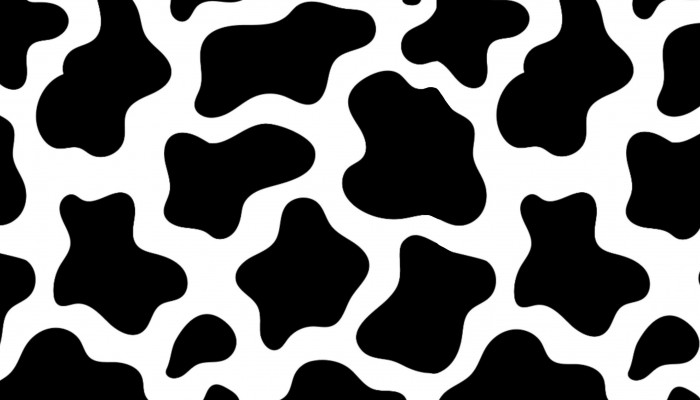 Cow Print Desktop Wallpaper