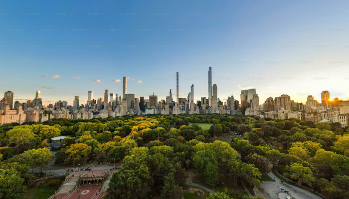 Central Park Landscape Wallpaper