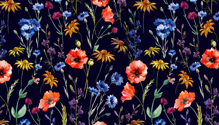 Wild Flower Wallpaper