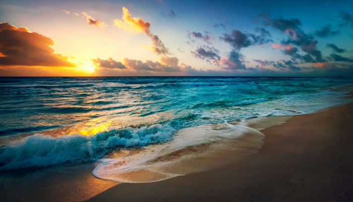 Sea Nature Wallpaper