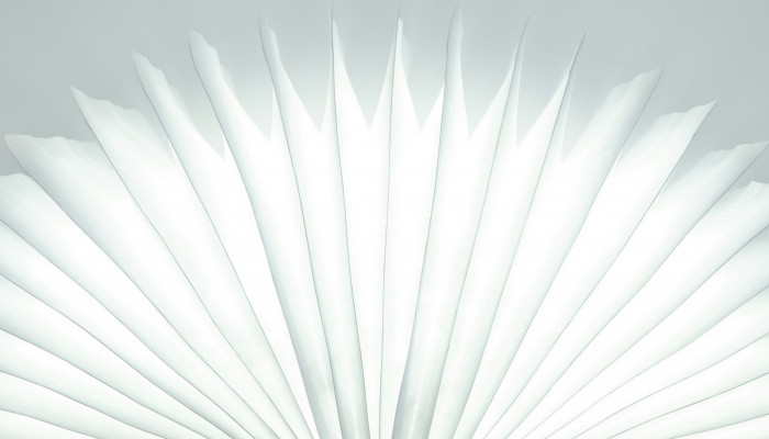 White Light Wallpaper