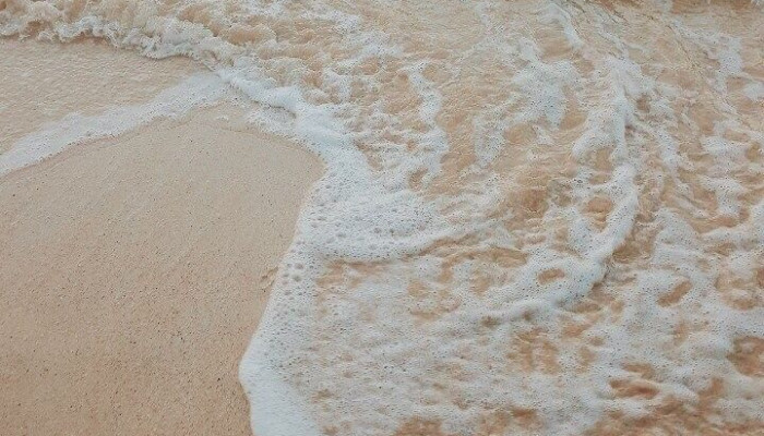 Beige Beach Wallpaper