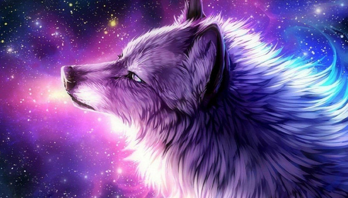 Galaxy Dog Wallpaper