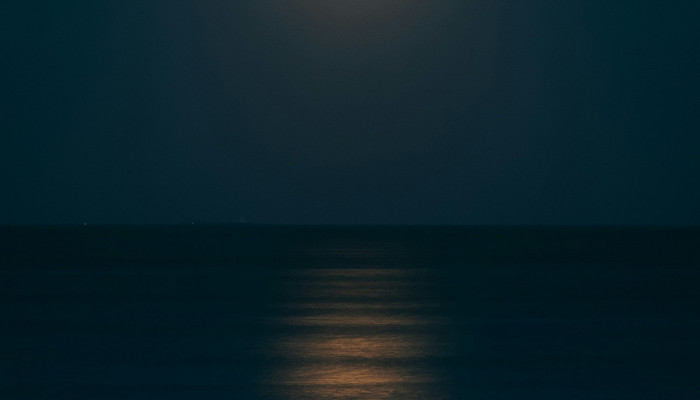 Full Moon Night Wallpaper