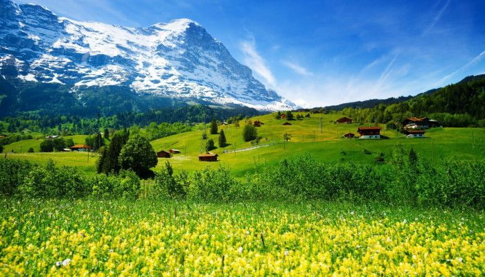 Switzerland Nature Wallpaper