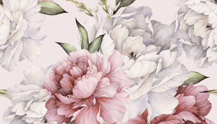 Peony Flower Wallpaper