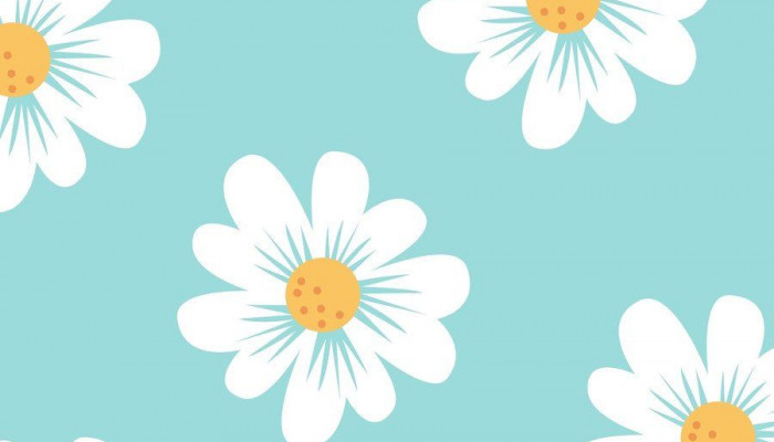 Daisy Art Wallpaper