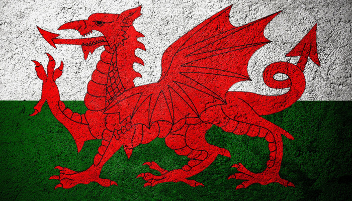 Welsh Flag Wallpaper