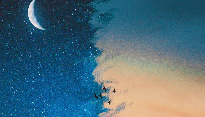 Night and Day Wallpaper