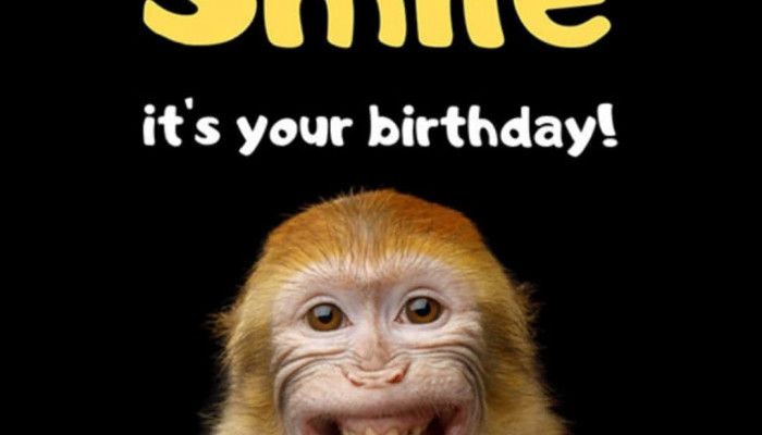 Funny Birthday Wallpaper