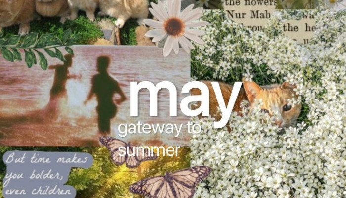 May Aesthetic Wallpaper