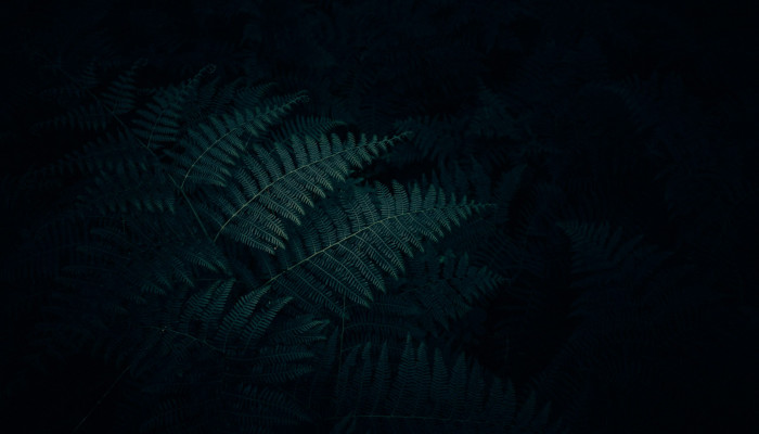 Minimalistic Dark Wallpaper