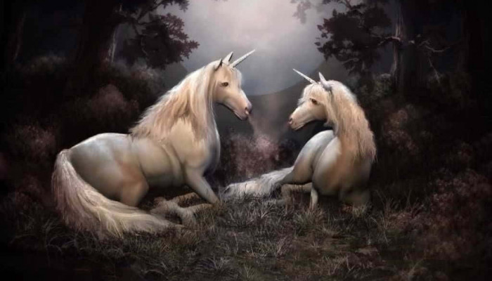 Real Unicorn Wallpaper
