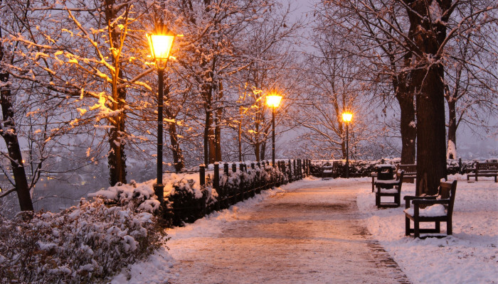 Winter Park Wallpaper