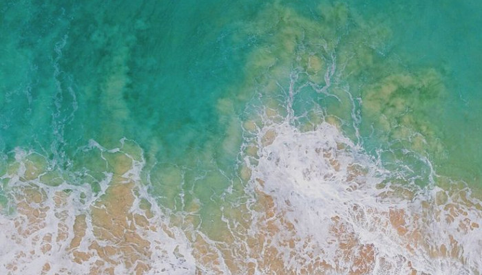 Ocean Beach iPhone Wallpaper