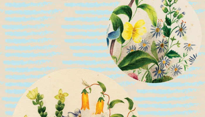 Floral Illustration Wallpaper
