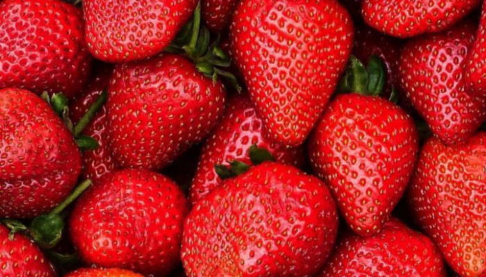 Red Fruit Wallpaper