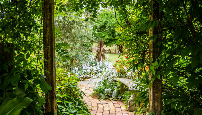 Garden Phone Wallpaper