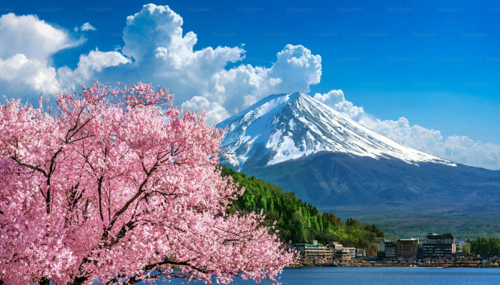 Japan Spring Wallpaper