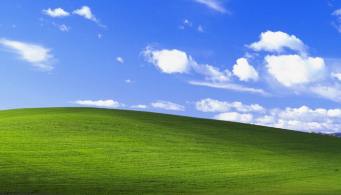 Microsoft Windows Wallpaper