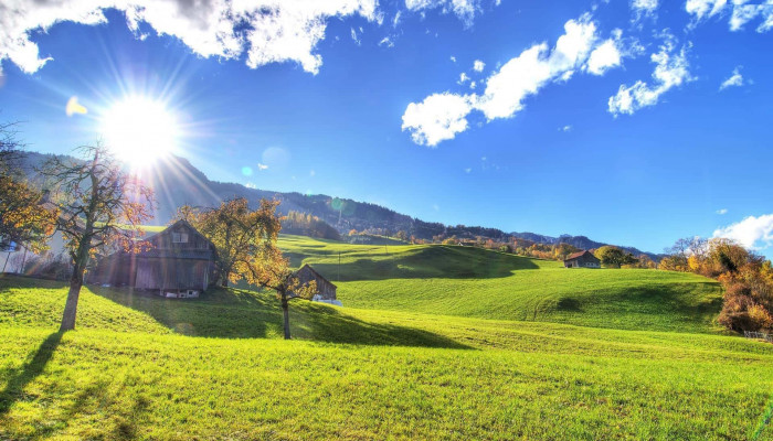 Sunny Nature Wallpaper