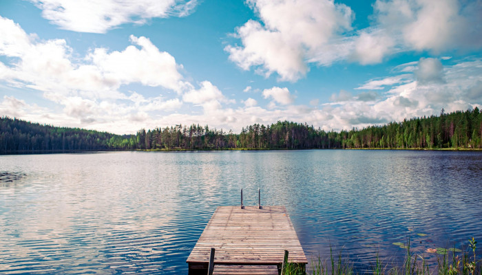 Summer Lake Wallpaper