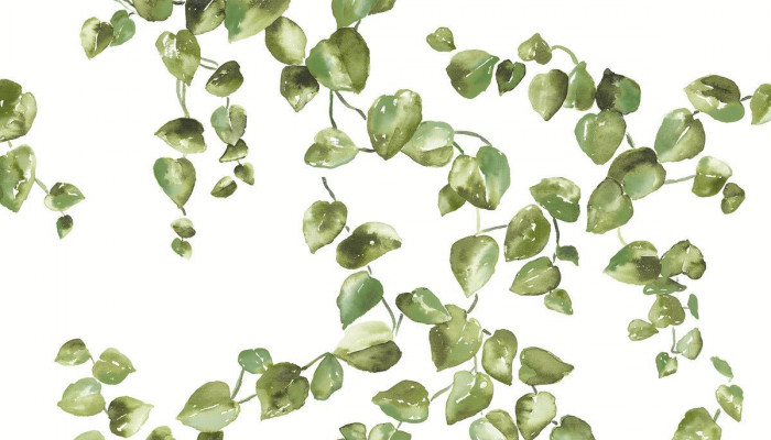 Aesthetic Vines Wallpaper