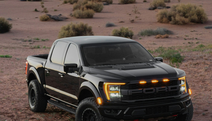 Raptor Wallpaper